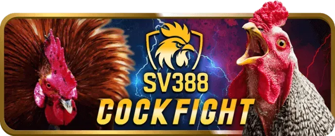 Lời khuyên bảo vệ bản thân khi chơi zt9398 casino trực tuyến